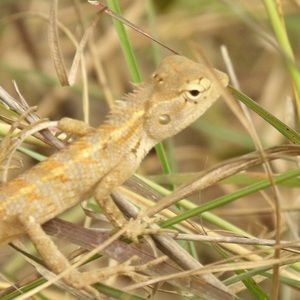 Meet your Posher, Brennan